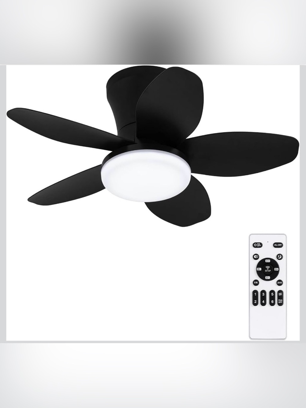 Ceiling Fan 25” with Lights and Remote Control